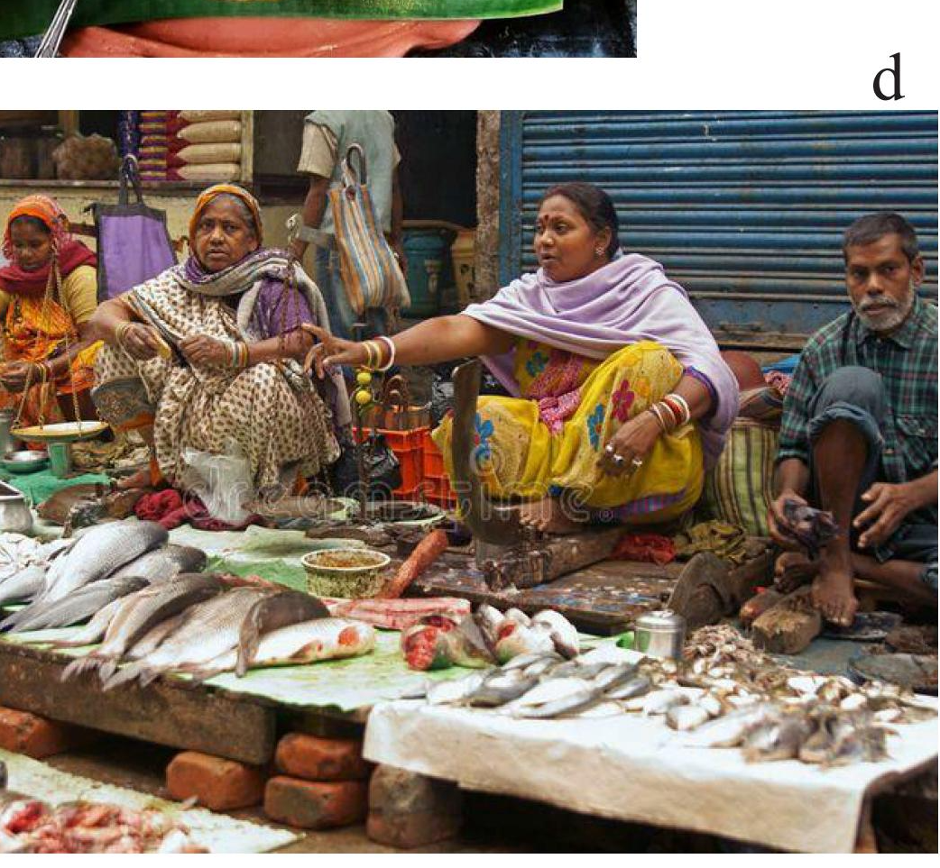 Fish market, source of discarded scales
