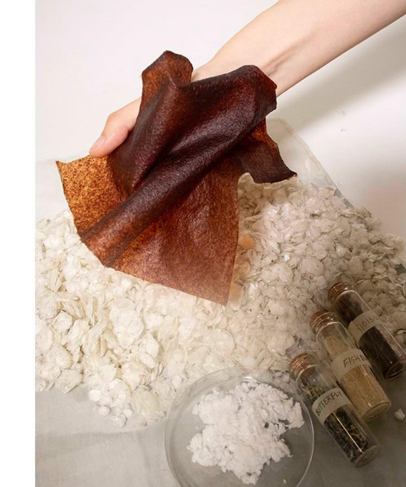 Fish-scale leather swatch