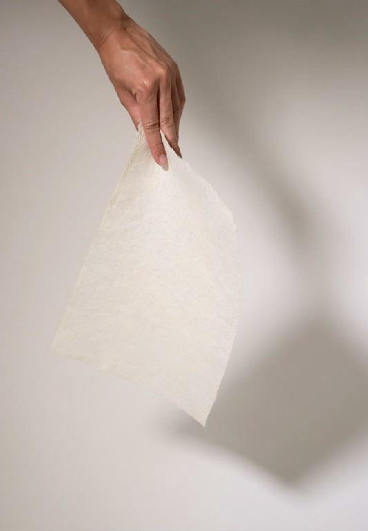 Sheet of scale paper hanging in light