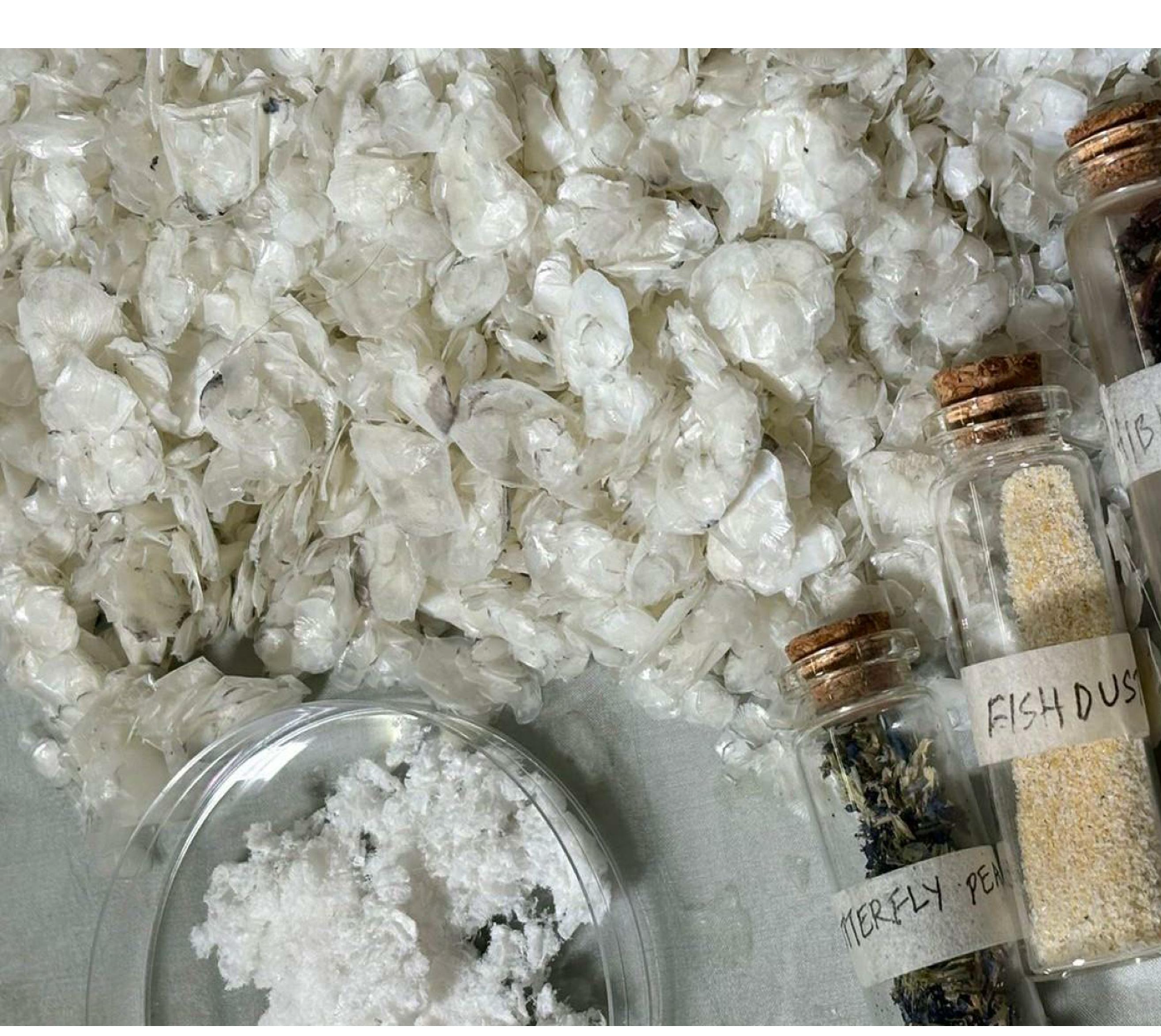 Raw processed fish scales with jars of natural dye