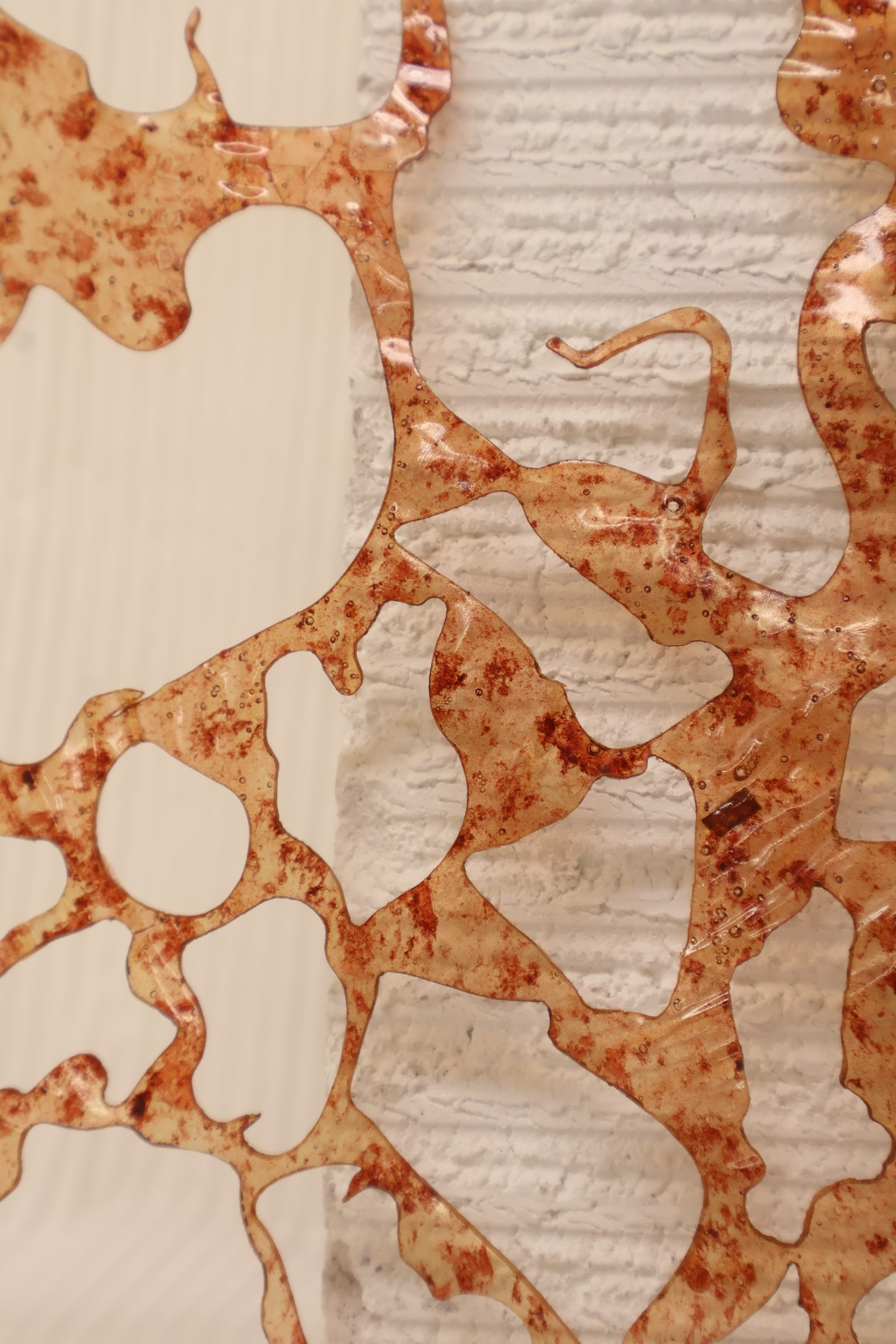 A translucent amber sheet of scale material with an open, lace-like structure, hung against a ribbed white wall