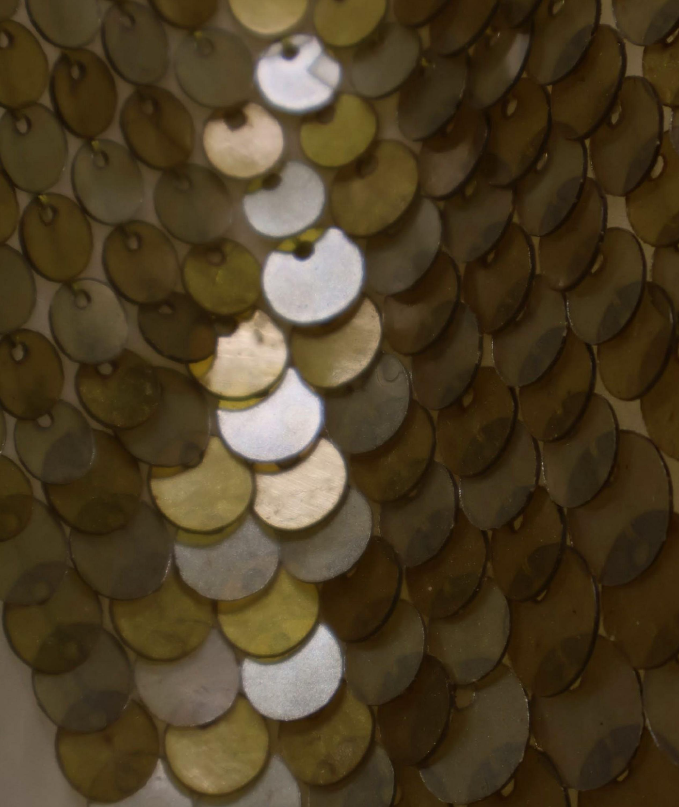 Macro view of overlapping bio-sequins